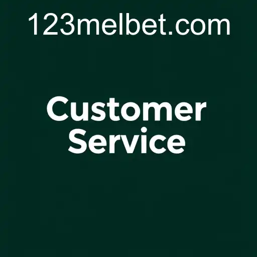 Exploring the Customer Service Dynamics in the Melbet Game Category
